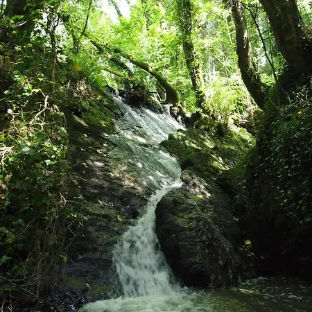 ロッジ Blackwater Eco Pods