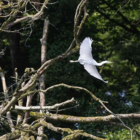 Jaktstuga Blackwater Eco Pods *