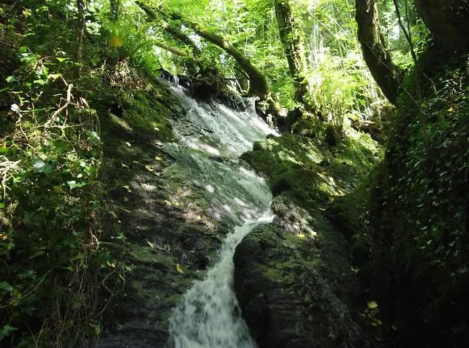 Lodge Blackwater Eco Pods