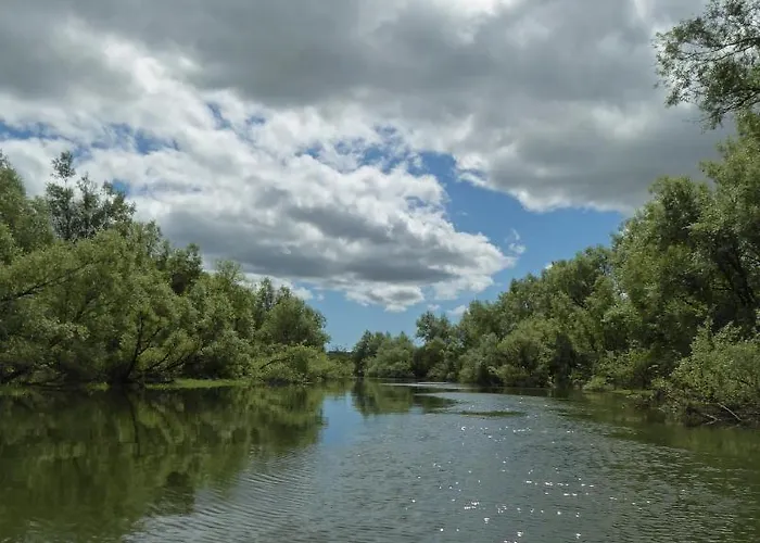 Orman Evi Blackwater Eco Pods *